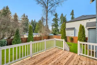 Brand new backyard deck.