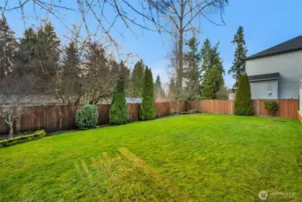 Fully fenced large backyard.