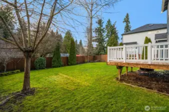 Fully fenced large backyard.