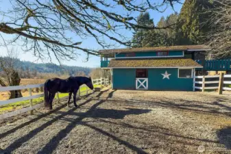 Horses not included!  Large paddock attached to barn and fenced off from turnout