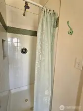 Main floor bathroom shower