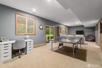 Awesome bonus room downstairs!