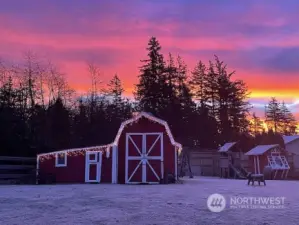 Gorgeous sunrise over snow dusted yard