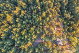 Into the forest and adjacent to walking trails to Moran State Park and Mount Constitution.