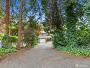 Very private driveway