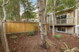 Partially fenced backyard