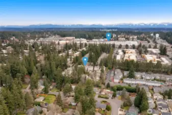 Easy commute to Microsoft, DT Bellevue, 520& 405