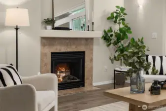 Gas Fireplace