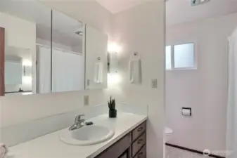 Primary bedroom en-suite bathroom.