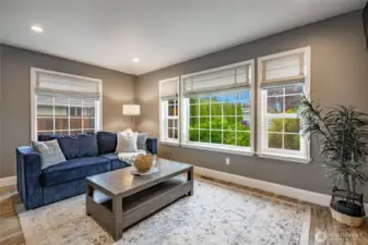 So many windows for year-round natural light. Nice custom shades throughout main living area