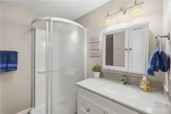 Lower level bathroom.