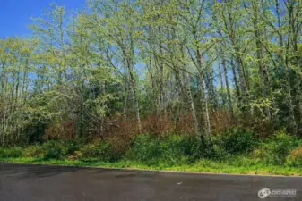 Fantastic lot with North Bay view potential!