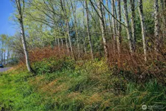 Fantastic lot with North Bay view potential!