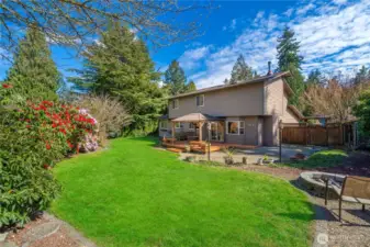 Lush and vibrant backyard!