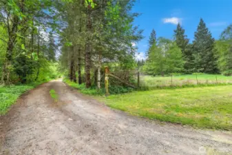 Driveway at entrance to the property