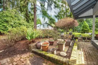 backyard garden soace