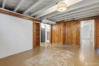 Bonus space in basement