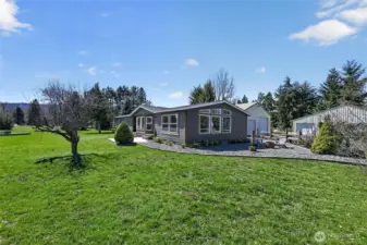 Welcome Home! Spring tulips are blooming around the home