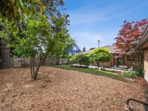View from back corner of yard.