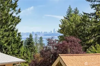 Top left view from the back yard