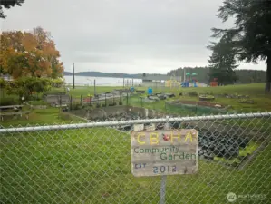 Community Garden