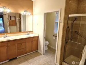 Master bath with walk-in shower