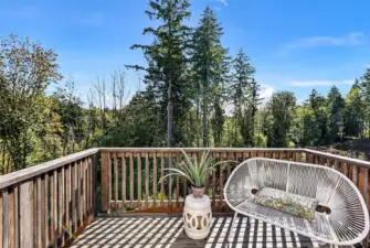 Deck off the Great Room and Kitchen