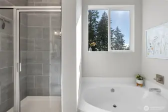 Large Shower in Primary Bath