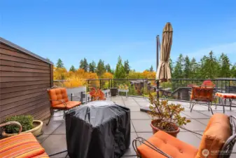 This is a stunning deck view! It is large, and accommodates several seating areas, a BBQ and drink station.