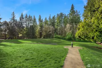 Expansive green space, perfect for walking your dog.