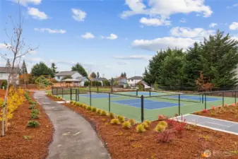 Pickleball courts at Bakerview's South Park.