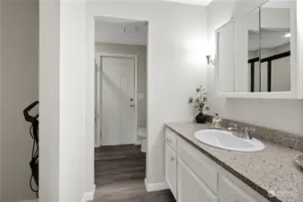 Primary bathroom with walk in closet and vanity