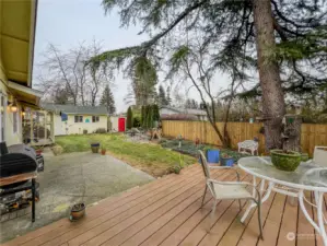 Wonderful deck and back yard, Perfect for summer time.