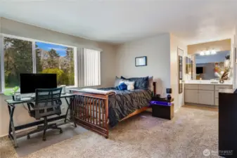 Large primary suite has an extended vanity, new full bath and shower, water closet and walk in closet for your seasonal wardrobes!