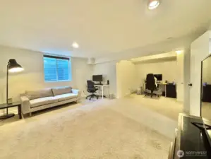 Bedroom/Office/Activity Room - Lower Level