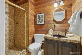 Retro 3rd bathroom on the lower level.