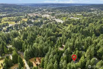 Close to downtown Woodinville and Wine Country! Several walking trails too!