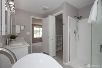 Separate shower and walk-in closet