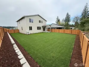 Massive backyard