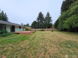 Spacious Backyard