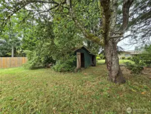 Outdoor shed and fruit trees