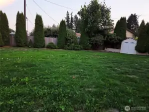Large back yard.