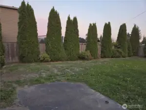 Mature privacy landscaping.