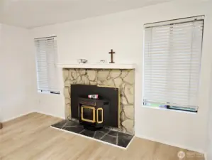 Pellet insert in the living room fireplace.