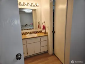 Primary bathroom with walk in bedroom closet.