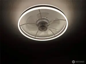 Very unique lighting with fans.