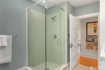 and modern spa shower