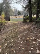 looking out to the road