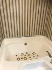 Large soaking tub (there is also a separate shower)