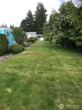 Common yard area between culdesacs